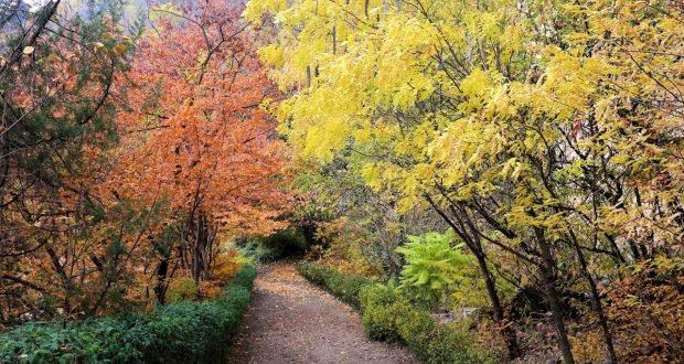 حديقة النباتات الوطنية في تبليسي