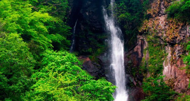 شلال ماخونسيتي في باتومي